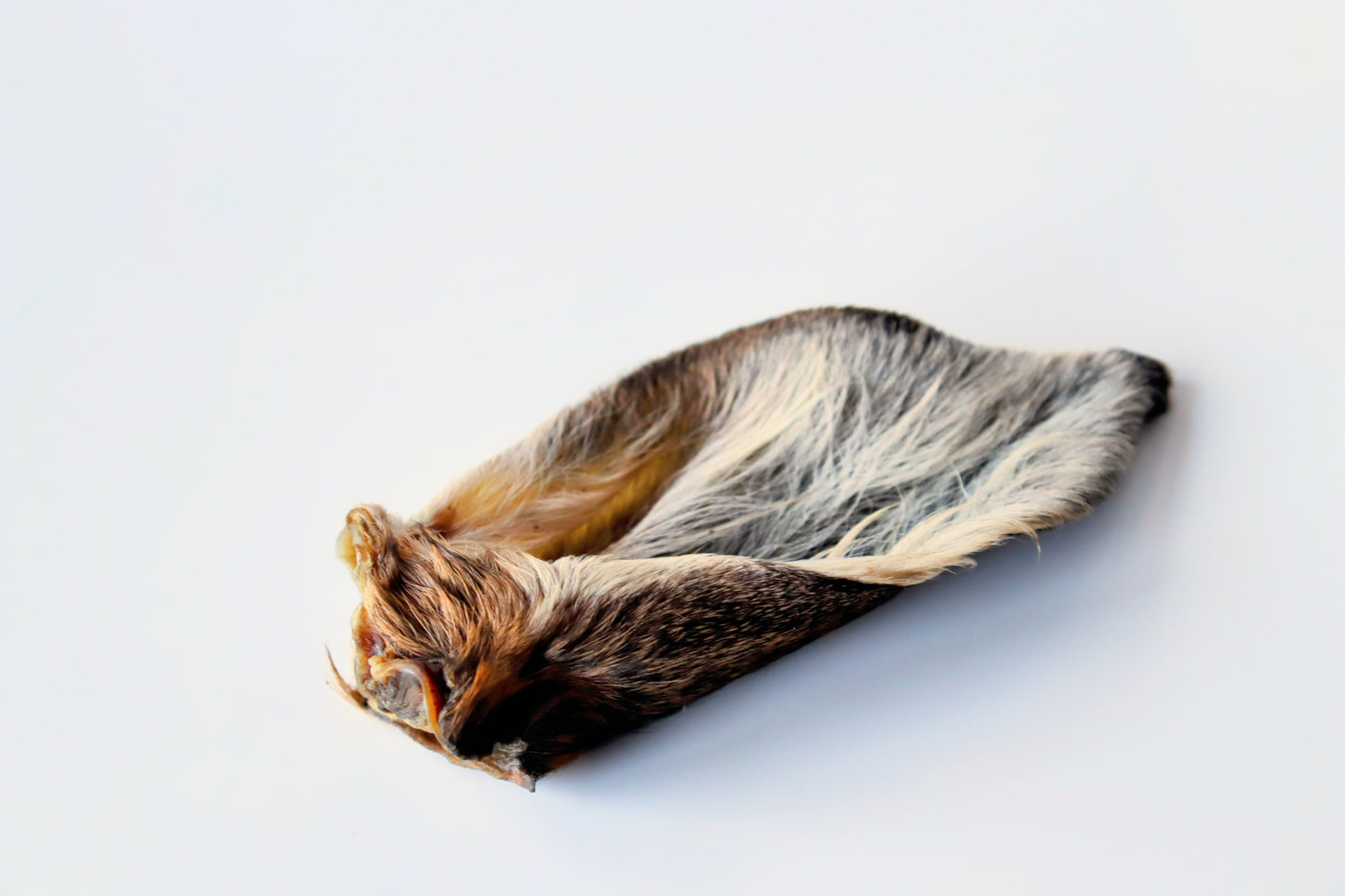 毛付き鹿耳丸ごとジャーキー