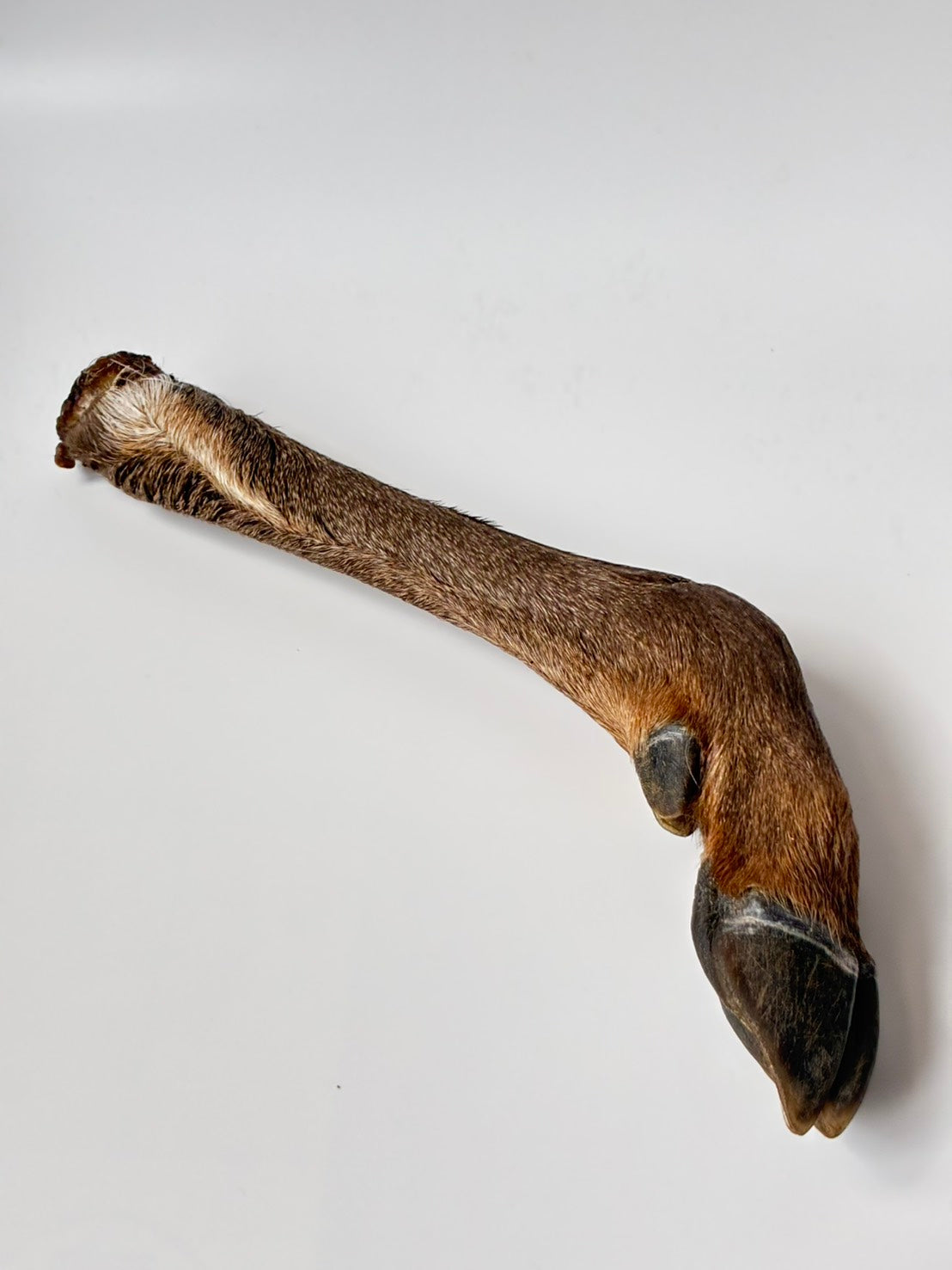 Fuji鹿ひづめ付足丸ごとジャーキー